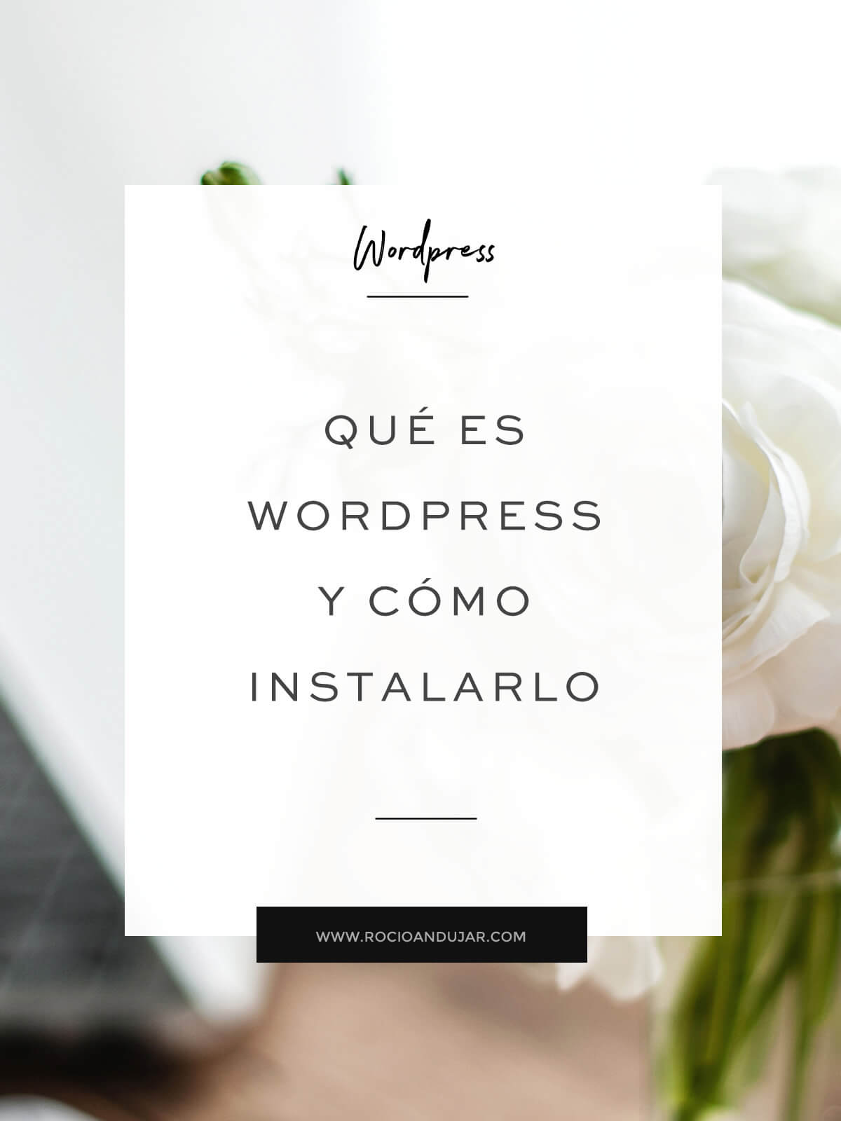 Que es WordPress y cómo instalarlo - www.rocioandujar.com